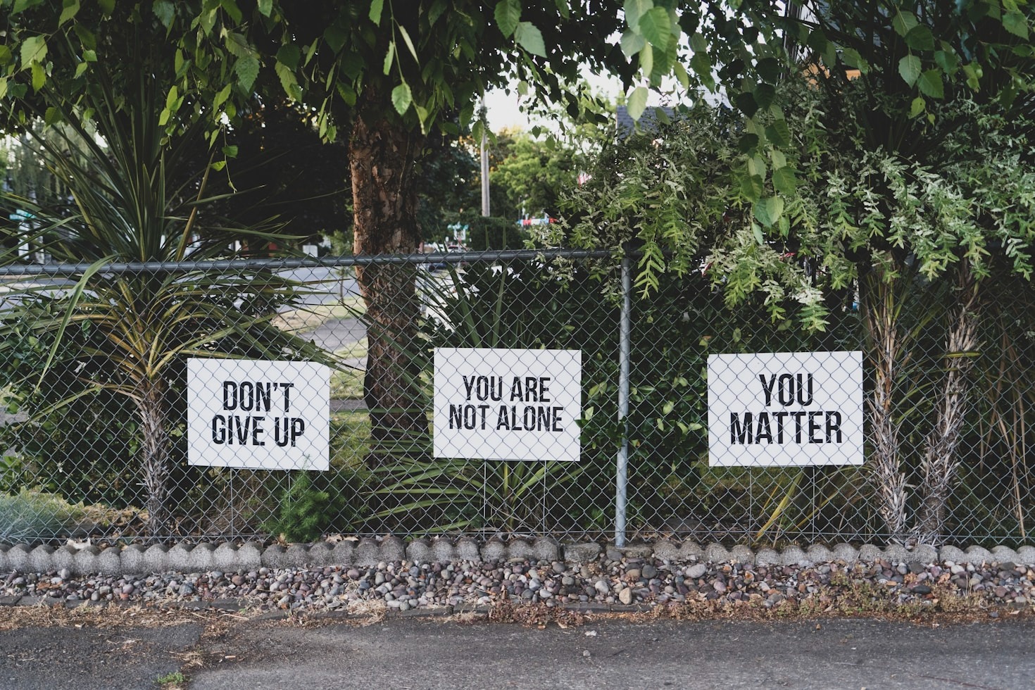 The Power of Community in Achieving Personal Goals